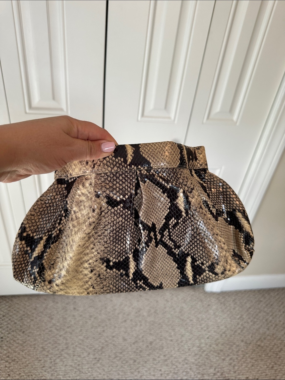 Club Monaco Tiffany Clutch Snake-Print